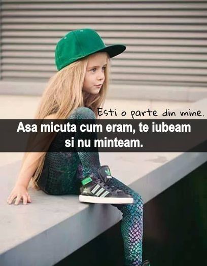 1912198_1530125647203378_1275643236753552825_n - Poze