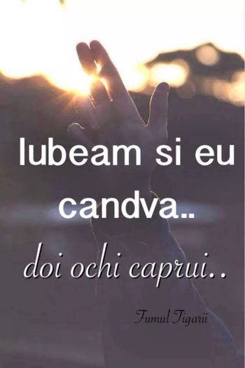 10537098_347470052072601_8347977251744614518_n - Poze