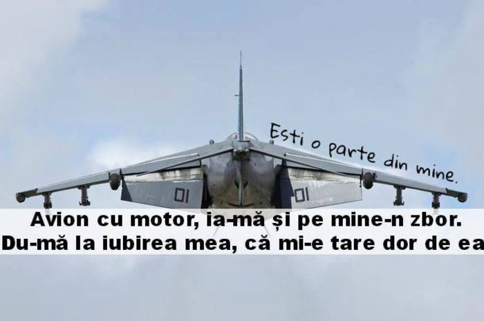 10646866_1531339483748661_741296242465383822_n - Poze