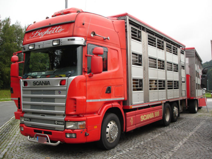 tiertransporter - 7-anunt important