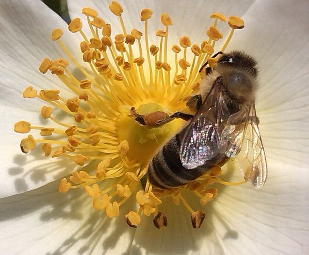 20140525_114102
