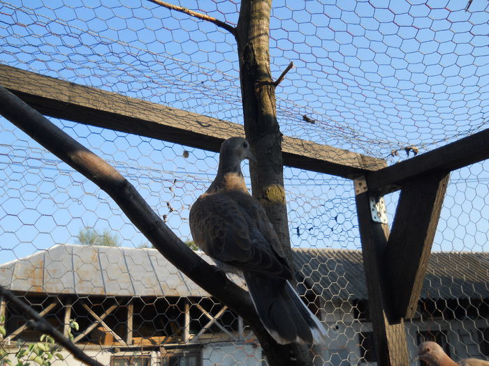 28.08.14 a treia serie