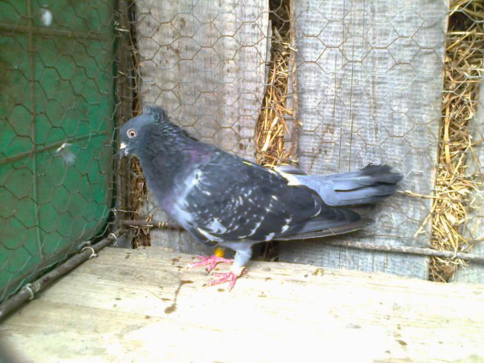 Imag 011433