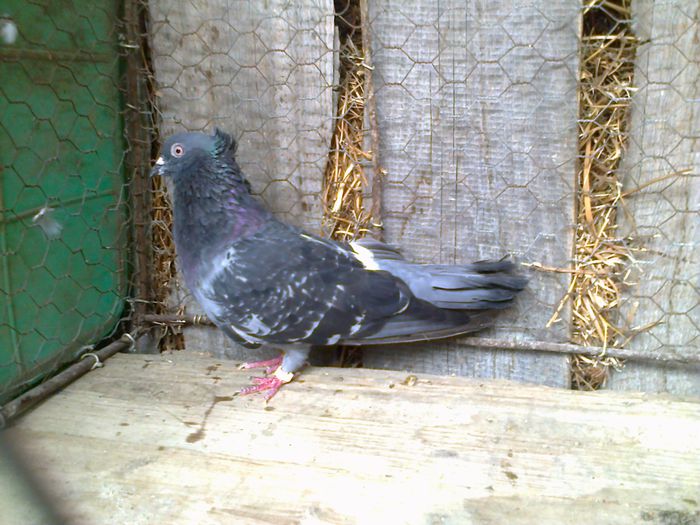 Imag 011435