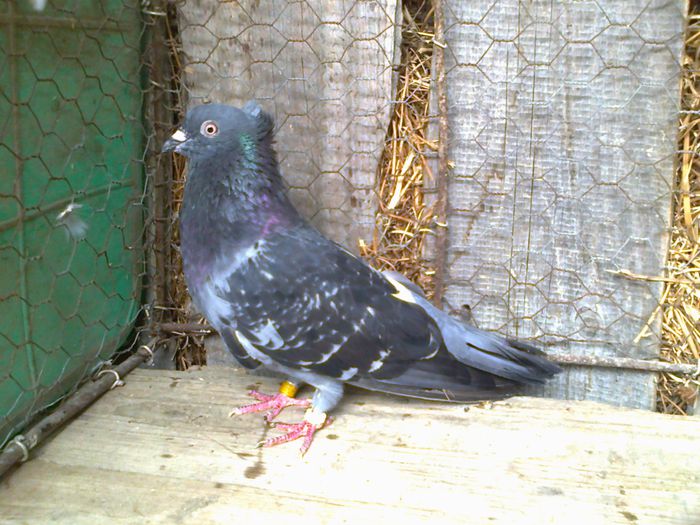 Imag 011436