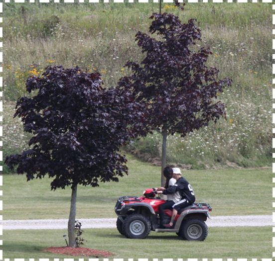  - xz - On -a-ATV -with- Justin - Bieber - in - Ontario - Canada-USA x x x x x