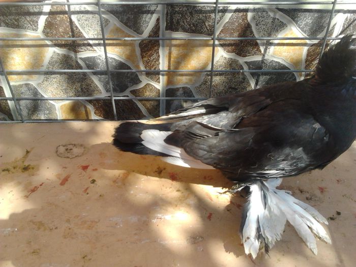 2014-08-31 11.32.30 - TINERET 2014