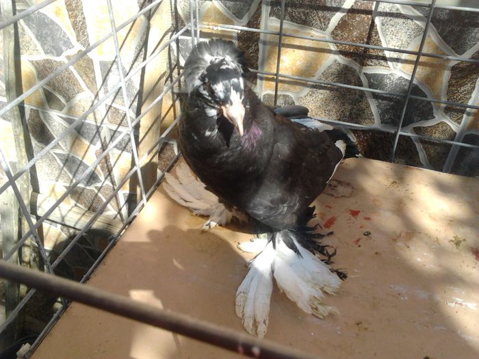 2014-08-31 11.32.25 - TINERET 2014