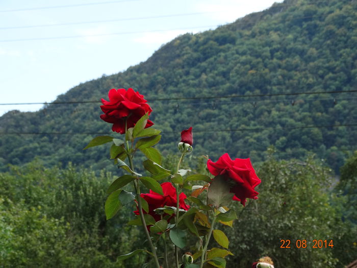 DSC07262