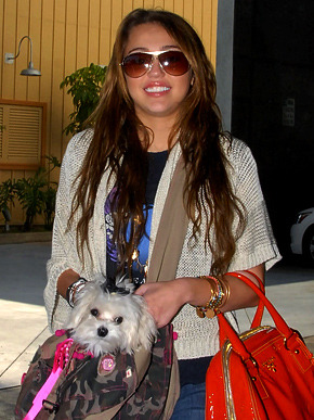 000269155 - miley si sophie