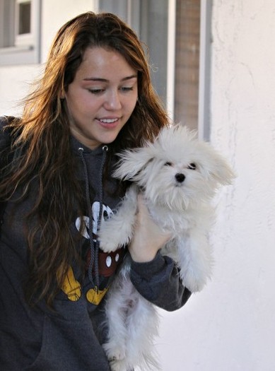 miley-cyrus-pooch-sophie-3 - miley si sophie