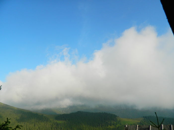 DSCN9520