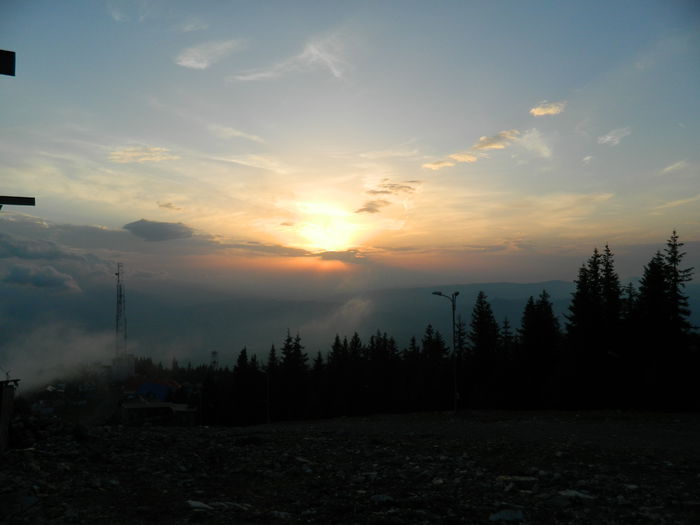 DSCN9523