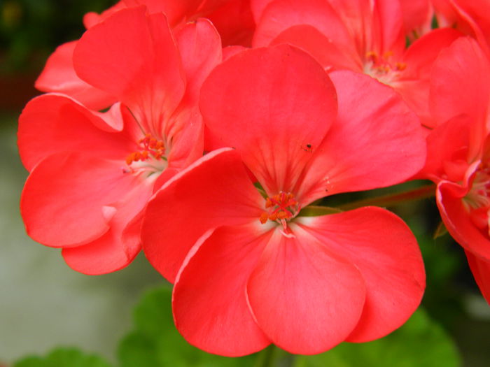 DSCN7846 - AUGUST_2_2014