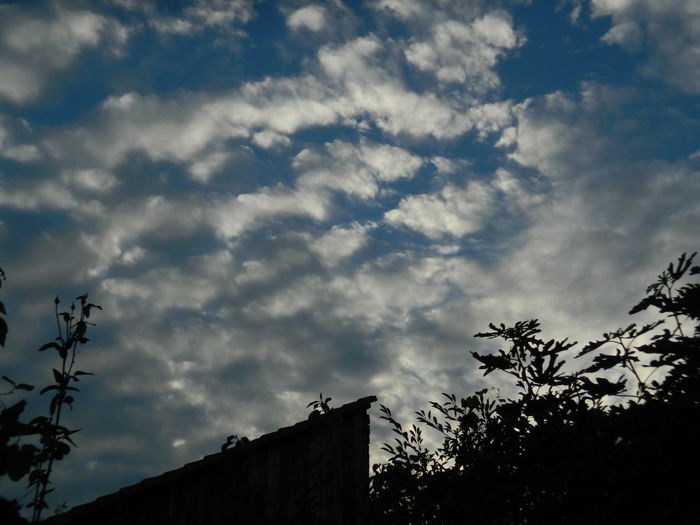DSCN7868 - AUGUST_2_2014