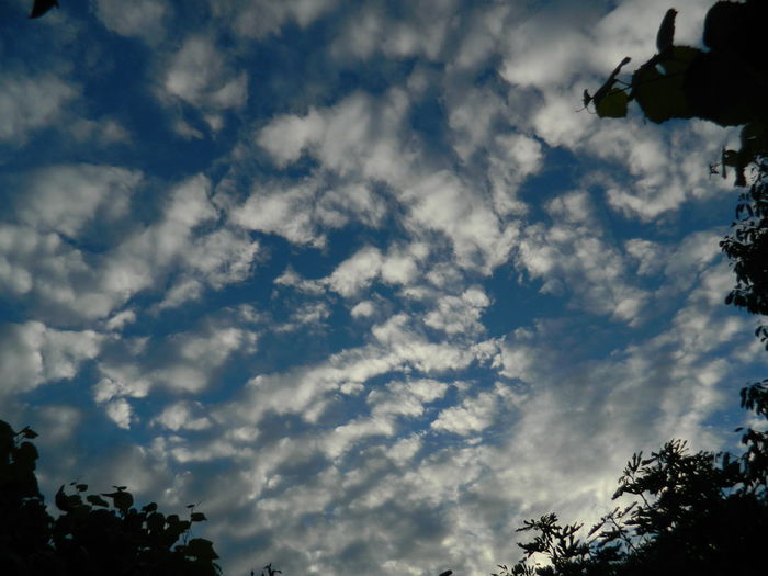 DSCN7869 - AUGUST_2_2014