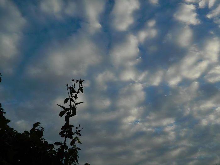 DSCN7889 - AUGUST_2_2014