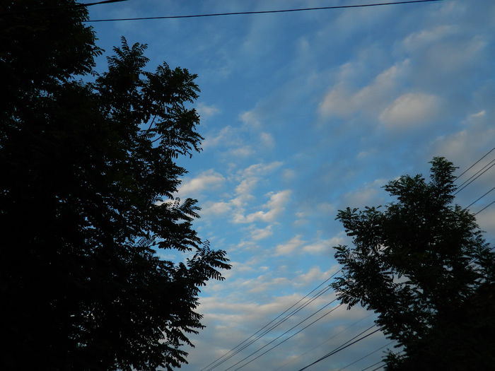 DSCN7909 - AUGUST_2_2014