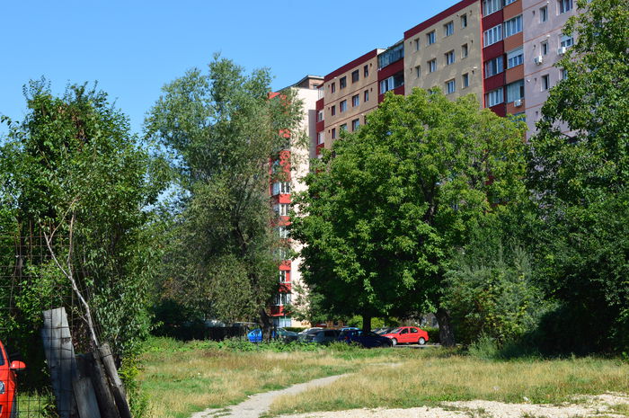 Picture 288 - BRASOV - ASPECTE
