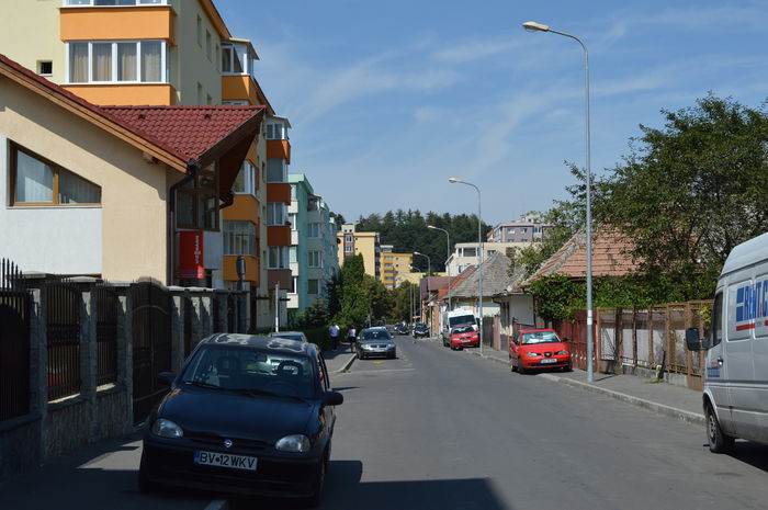 Str. Alex. cel Bun !