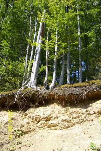 100_6732 - MANASTIREA DEJANI DIN TARA FAGARASULUI