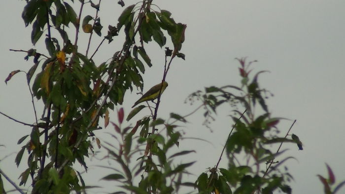 nu prea departe unii de altii