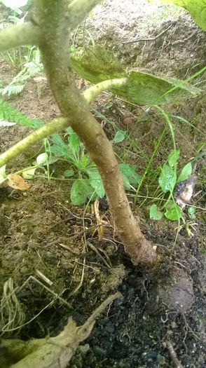 WP_20140824_026