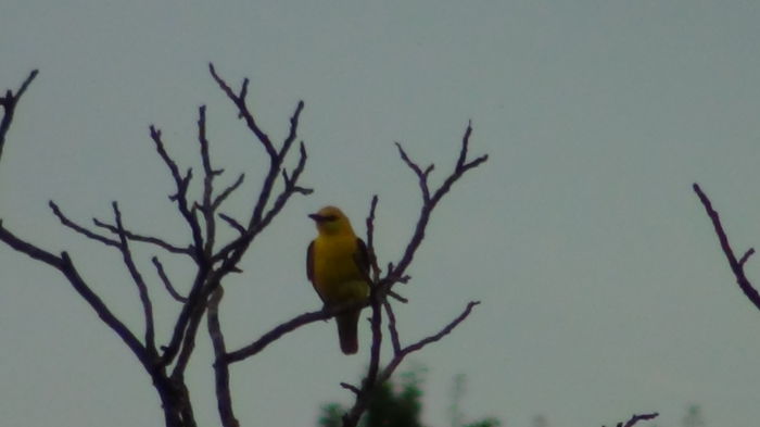 dar acestia s-au indurat sa mai stea