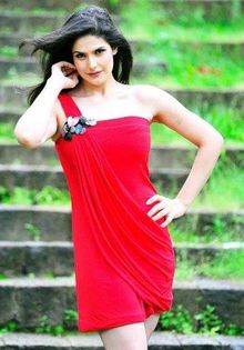 10433099_776253799063521_4803165153718472741_n - Zarine Khan