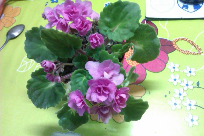 Rose Clair, a decedat