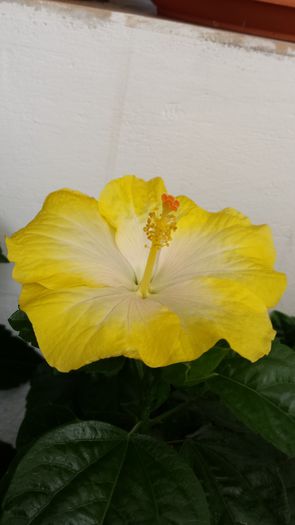 20140901_094022