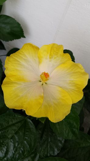 20140901_094018