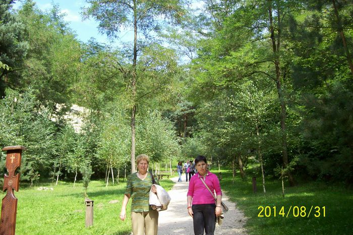 100_6874 URCAND SPRE TEMPLU - TEMPLUL DORINTELOR DE LA SINCA VECHE DIN TINUTUL FAGARASULUI