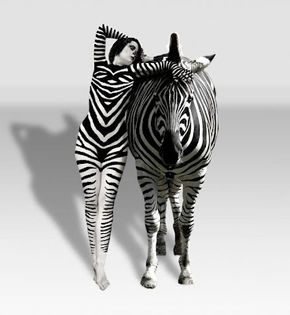 ZEBRA ESTE UN ANIMAL ALB CU DUNGI NEGRE - SAU NEGRU CU DUNGI ALBE? - Turning couple dances INTORCIND DANSUL IN DOI