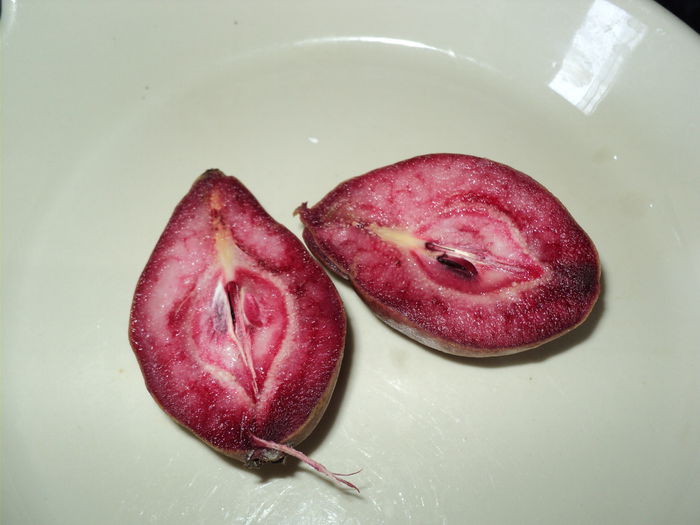 PARA CU MIEZU ROSU - 0-florile mele