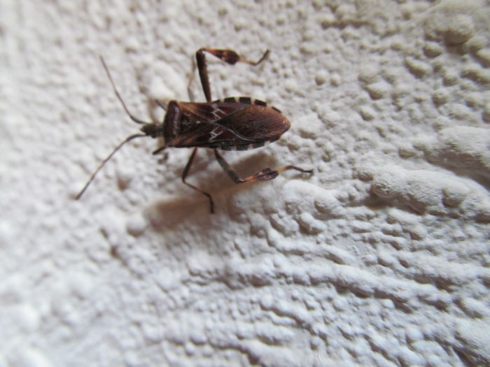  - Diverse 3 - Diverse