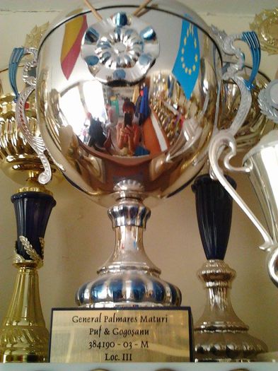 PUF & GOGOSANU CRISTI!