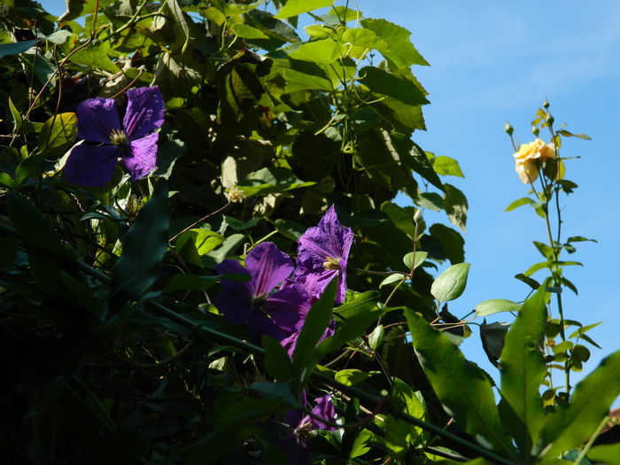 DSCN8050 - SEPTEMBRIE_2014