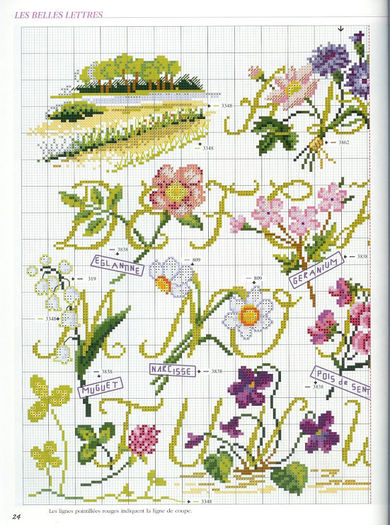 115515-7ea15-34028514-m750x740-u2514c