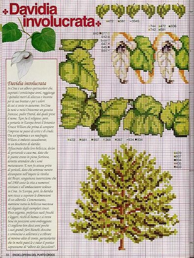 115515-8d7c9-41675552-m750x740-u97d0d