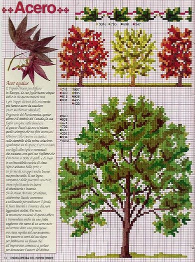 115515-8e3c8-41675488-m750x740-u8b152