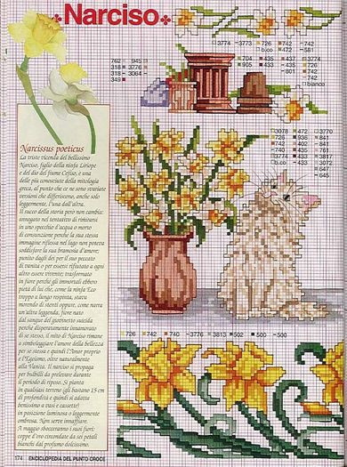 115515-34c19-41678468-m750x740-ue6300