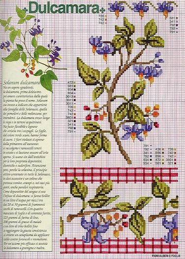 115515-59b1a-41678179-m750x740-uf9cfb