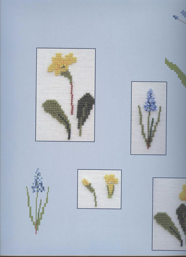 115515-59ed9-35344785-m750x740