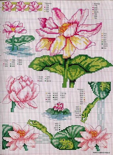 115515-086f3-41678440-m750x740-u64b57