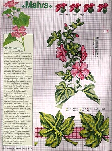 115515-155b6-41678430-m750x740-u4bfc7