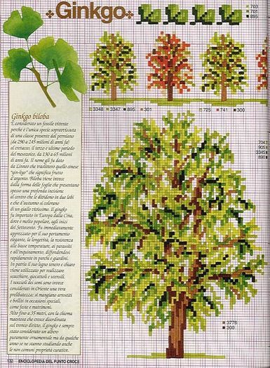 115515-312ca-41675300-m750x740-u125d3