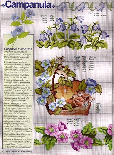 115515-530f7-41678230-m750x740-u91f23