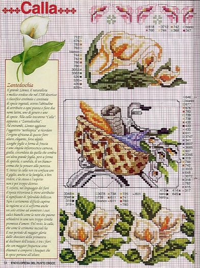 115515-01020-41678222-m750x740-u93f26