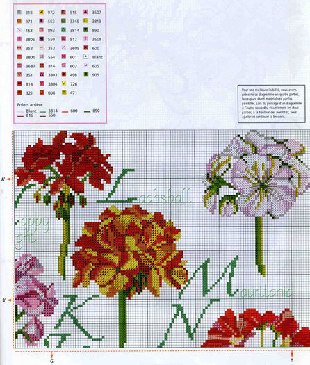 115515-2930d-35344078-m750x740